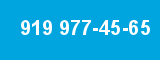 919 977-45-65